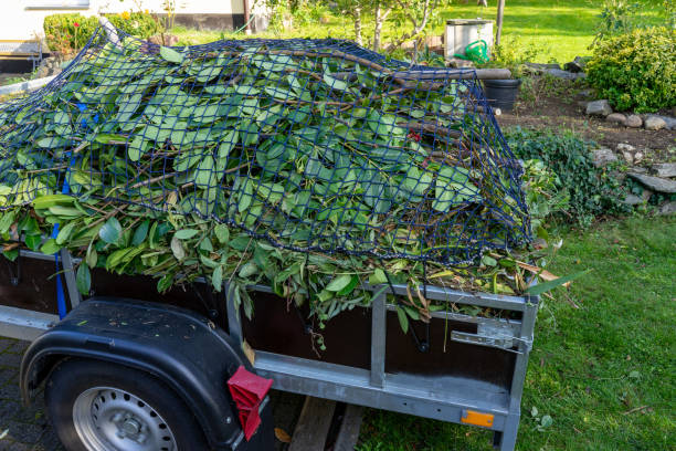 Professional Junk Removal Services in Rainbow Lakes, NJ